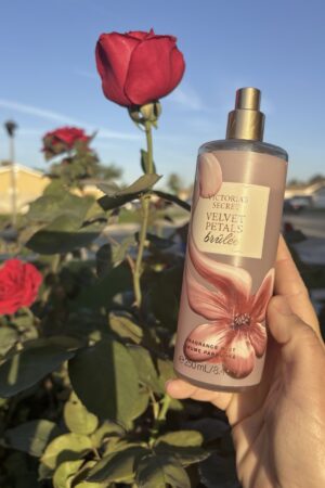 Victoria's Secret Fragrance Mist Velvet Petals Brulee 8.4 Fl Oz